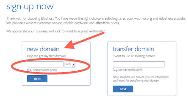bluehost-new-domain